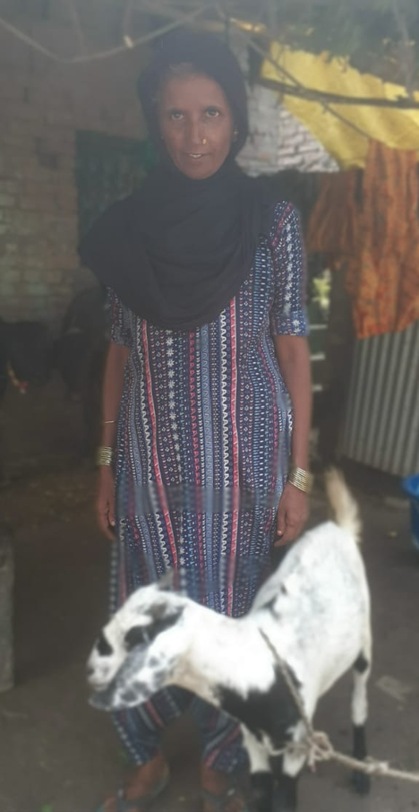 Sustainable livelihood support